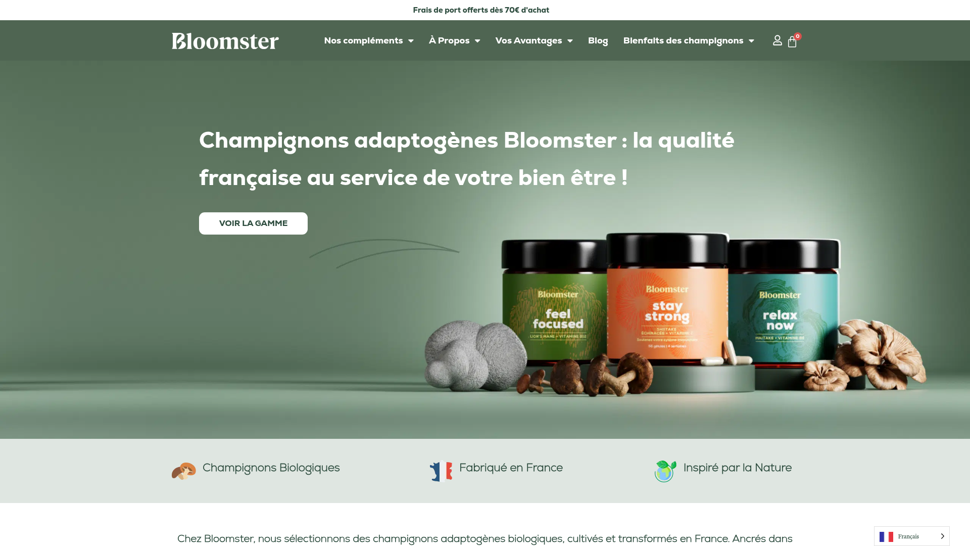 Preview of Bloomster website