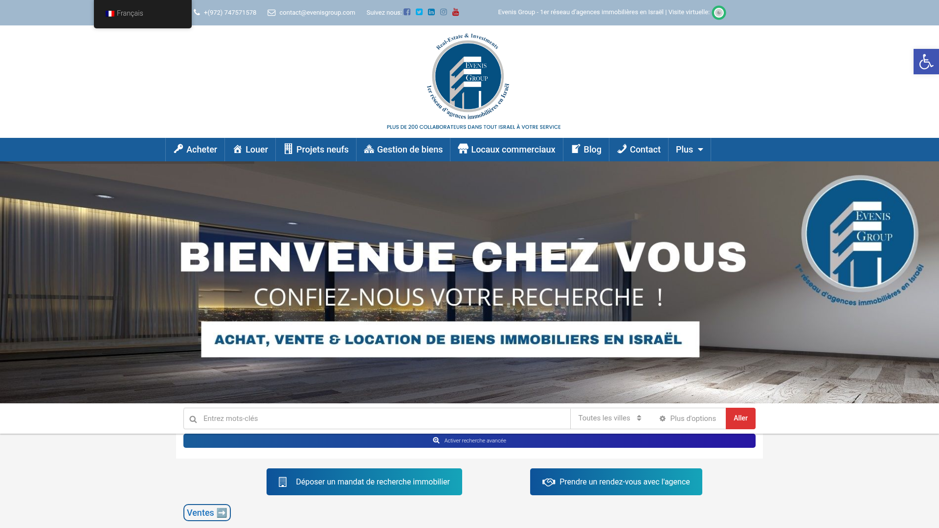 Preview of Evenis Group website