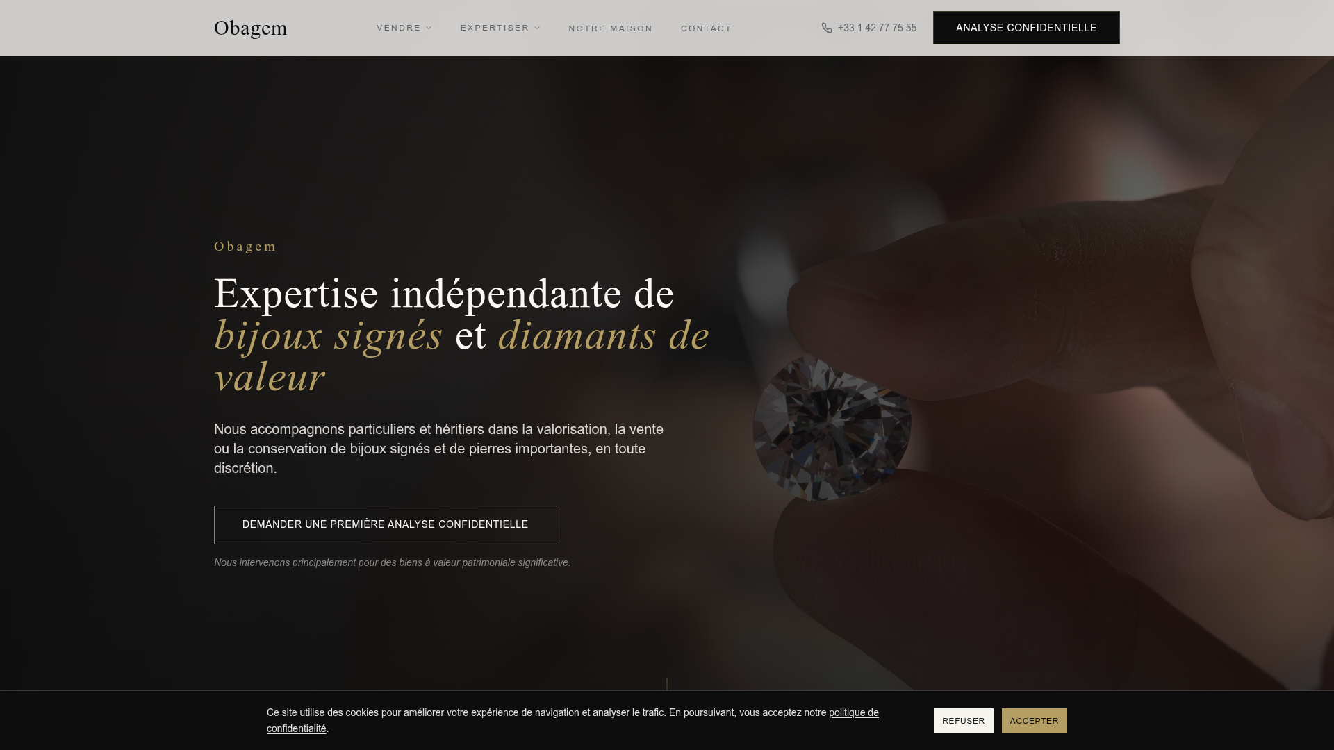 Preview of Obagem website