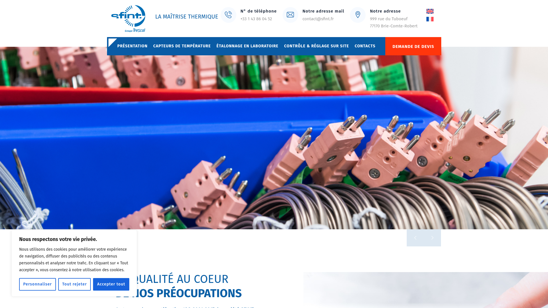 Preview of sfint website